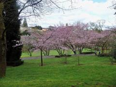149 PARC ORIENTAL DE MAULEVIER MAINE ET LOIRE 2016 N0_000026